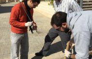 La Diputació intensifica el control dels mosquits