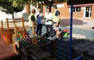 Benicarló. Obres i Serveis repara i adequa els parcs infantils 21/06/2017
