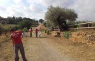 La Jana, els alumnes del taller d'ocupació de la Mancomunitat netegen els espais naturals