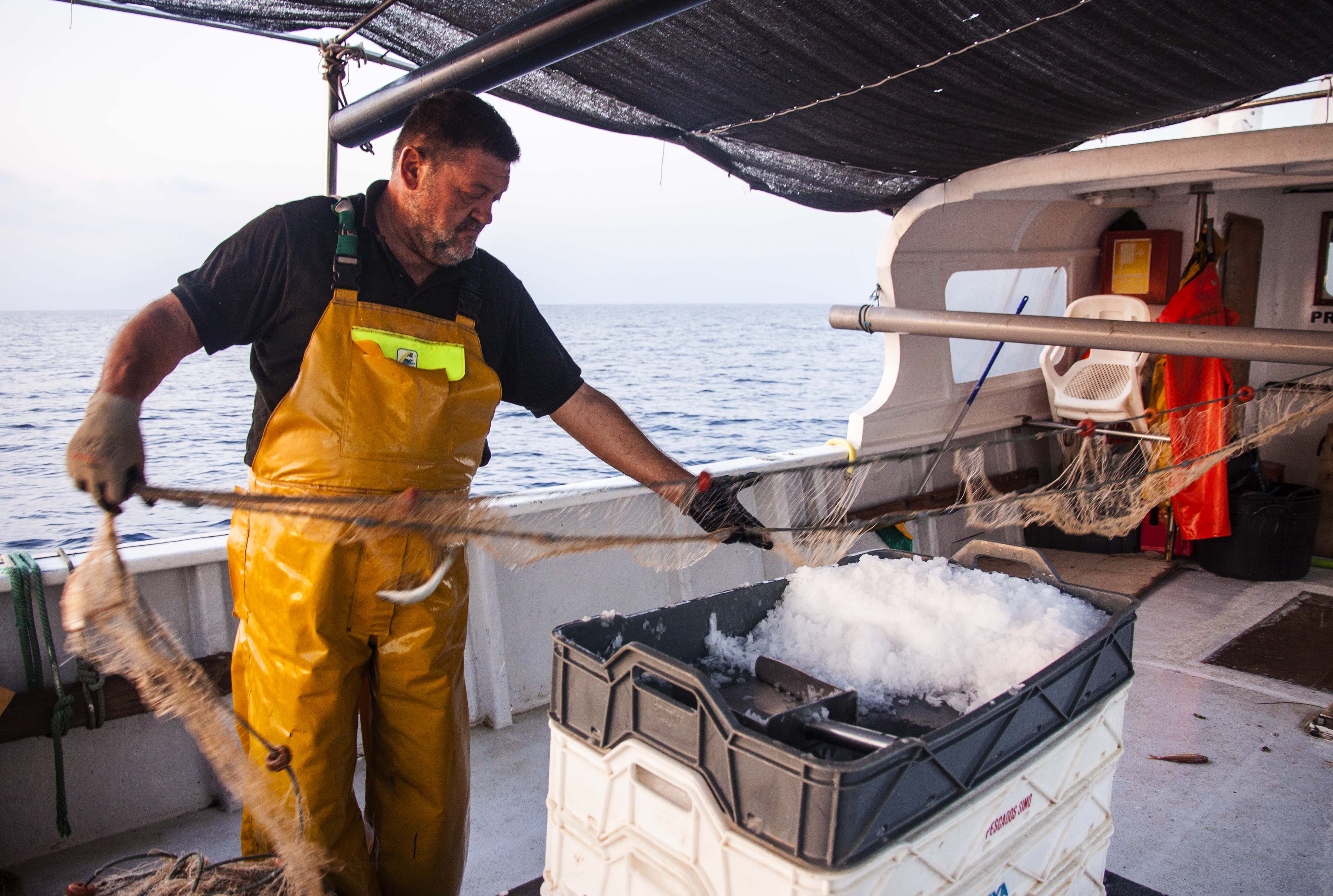 Peníscola, arrenquen les primeres experiències Pesca Turisme de la Comunitat