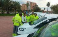 Vinaròs, l'Ajuntament aplicarà nous tractaments contra les paneroles i rosegadors