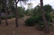 Santa Magdalena, acaben les feines de neteja de l'entorn de l'ermita de Sant Vicent