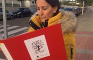 Alcalà, el xiquets del municipi descobriran els arbres monumentals a través del catàleg editat per l'Ajuntament