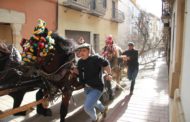 Albocàsser celebra la festa de Sant Antoni amb les tradicionals Rossegades
