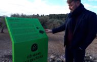 Sant Jordi senyalitza una ruta per mostrar les oliveres mil·lenàries del municipi