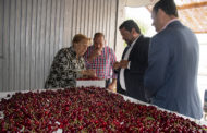 La Diputació promociona la cirera de la Salzadella a través de Castelló Ruta de Sabor