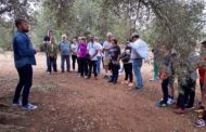 Sant Jordi, desenes de veïns participen en la ruta al voltant de les oliveres mil·lenàries