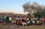 Canet lo Roig mostra les oliveres mil·lenàries amb una ruta nocturna