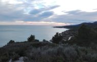 Peníscola exigeix a la Generalitat més tasques de prevenció al Parc Natural de la Serra d'Irta