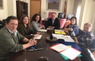 Sant Mateu aprova la delegació de competències per a la reforma del col·legi de la localitat