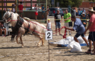 Peníscola celebra el 9è concurs de Tir i Arrossegament