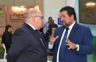 Diputació, el president Moliner reivindica al Govern Central ajudes per al sector dels cítrics