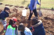 La Jana celebra el Dia de l'Arbre a la roureda de l'Engolidor