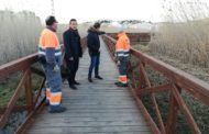 Peníscola realitza feines de neteja a la zona de l'ullal i a la marjal