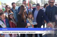 Informatiu 15-04-2019