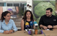 Benicarló; Balanç de la campanya 2018-2019 de la Carxofa de Benicarló Denominació d'Origen Protegida 04-06-2019