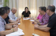 La Diputació anuncia que dilluns entrarà en vigor el Pla Provincial Contra els Mosquits