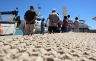 Benicarló oferirà aquest estiu una nova edició de la Ruta dels Pescadors