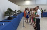 Benicarló; Inauguració de la XXIX Exposició de Bonsais de l’Associació de Bonsai de Benicarló 18-08-2019