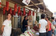 Alcalà, els productors locals venen 5.500 quilos durant la Fira de la Tomata de Penjar