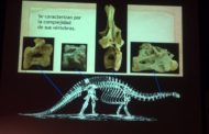 Vinaròs; Conferència; “Tiriasauria, el clado de los dinosaurios gigantes” a càrrec de Rafael Royo a la Fundació Caixa Vinaròs 19-10-2019