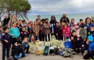 Santa Magdalena; L'alumnat del CEIP Albert Selma participa en la jornada ambiental ‘Clean Up’