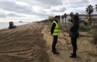 Peníscola; Avancen els treballs de regeneració i neteja de canalitzacions en la platja Nord