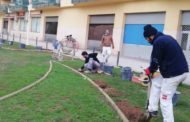 Benicarló habilitarà un parc caní amb obstacles, activitats d’agility i un pipi-can