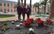 Finalitzen els treballs de regeneració del jardí de l’Auditori Pedro Mercader