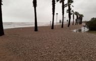 Alcanar sol·licitarà la declaració de zona afectada per emergència de protecció civil
