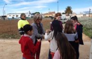 Benicarló celebra el Dia de l’Arbre plantant 600 carrasques