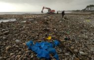 L'Ajuntament d'Alcanar organitza una recollida de brossa a la mar després del temporal