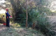 Transició Ecològica convoca les ajudes per al voluntariat ambiental en prevenció d'incendis forestals