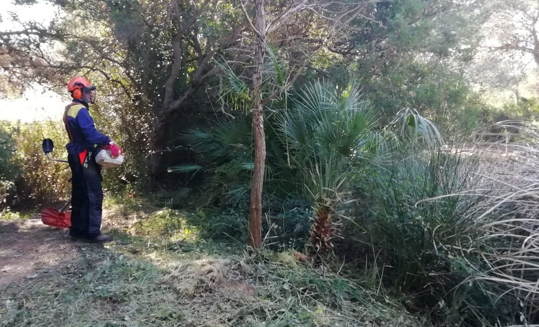 Transició Ecològica convoca les ajudes per al voluntariat ambiental en prevenció d'incendis forestals
