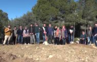 Vinaròs; festivitat de Sant Antoni 17-01-2020