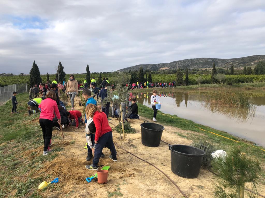 Escolars d'Alcalà-Alcossebre planten 550 arbres dins de les activitats del Dia de l'Arbre