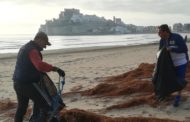 Jornada de neteja de platges a Peníscola