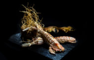 Arrenca el calendari gastronòmic 2020 amb les XII Jornades de la Cuina de la Galera de Vinaròs