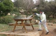 L'Ajuntament de Vinaròs continua amb les feines de desinfecció al municipi