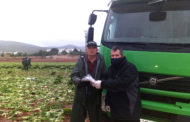 El regidor d'Agricultura de Peníscola fa lliurament de les mascaretes als llauradors