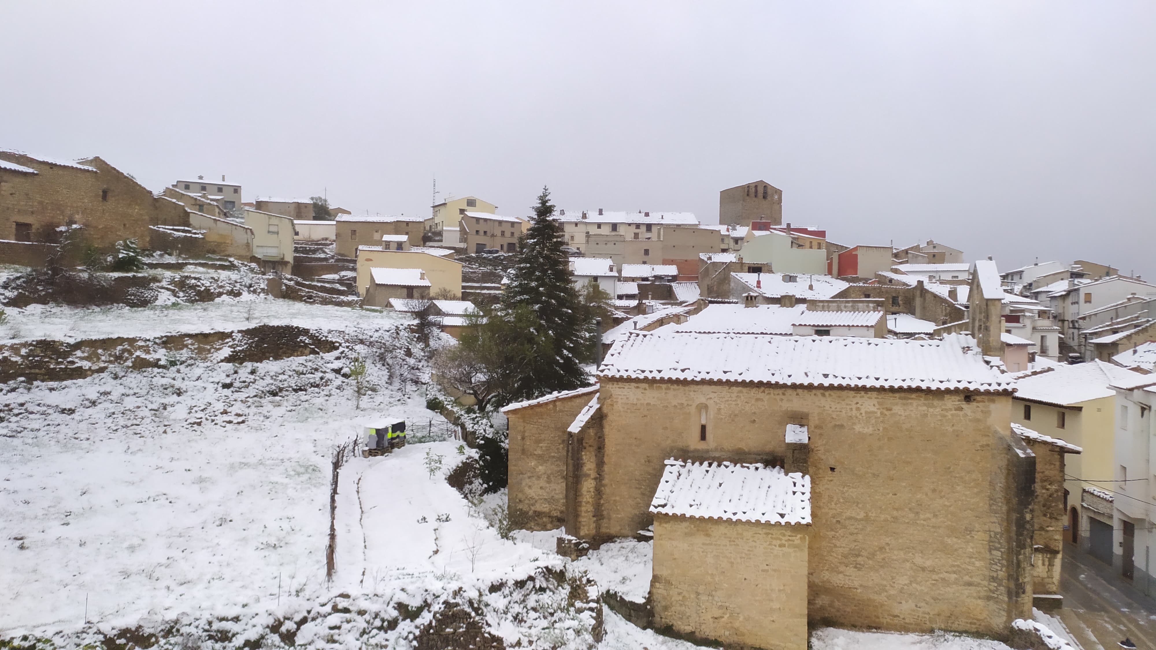 Uns 5 centímetres de neu han cobert avui de blanc el municipi de Portell