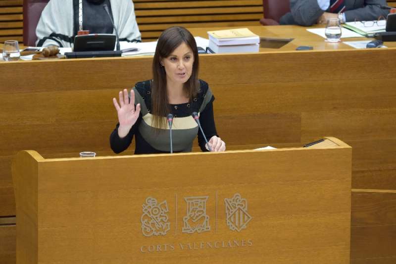 El PP demana que el Consell aclarisca si l'activitat forestal és essencial davant la incertesa generada