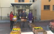 L'empresa SempreFlora de Benicarló agraeix amb plantes el treball d'aquells que estan en primera línia