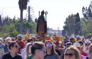 La festa de Sant Gregori de Benicarló també cau del calendari