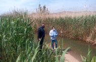 Peníscola programa el dragat del sistema de séquies de la marjal per evitar inundacions