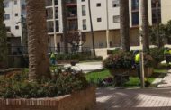 La Policia Local de Benicarló informa del servei diari