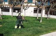 Es reprenen els treballs de jardineria a Benicarló