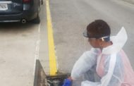 Comença la campanya contra els mosquits amb els primers tractaments a l’entorn urbà de Benicarló