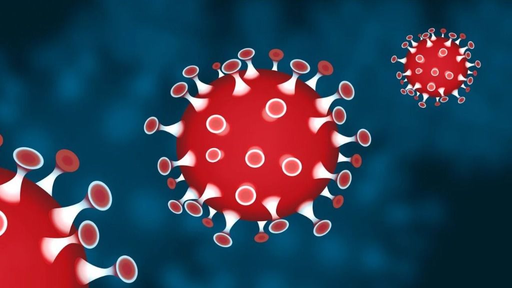 Sanitat notifica 6.389 nous casos de coronavirus en la CV, 2.509 majors de 60 anys