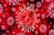 11 contagis per PCR, 6 morts per coronavirus i 144 altes en la Comunitat Valenciana
